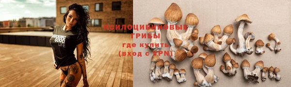 сатива Корсаков