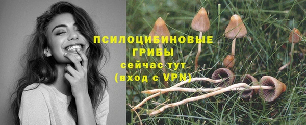 дурь Краснотурьинск