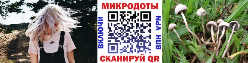 Купить где  Рассказово  Галлюциногенные грибы прущие грибы 