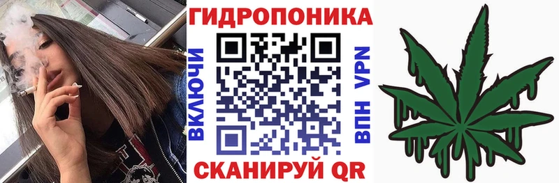 Марихуана семена  Купить где  Рассказово 